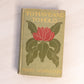 Antique Green To Have and To Hold Book