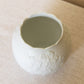 Vintage Kaiser Small Ceramic Scalloped Cupped Dogwood Planter