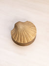 Medium Brass Shell Hinged Lidded Box