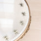 Vintage Medium Round Silver Tone Plateau Mirror Tray with Burst Designs