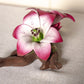 Capodimonte Porcelain Pink Lilies on Branch Figurine