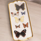 Hutschenreuther Rectangular Ceramic Butterfly Tray with Wall Hanger