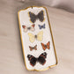 Hutschenreuther Rectangular Ceramic Butterfly Tray with Wall Hanger