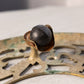 Large Circular Brass Floral Plant Stand with Casters