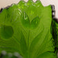 Vintage Large Green Glass Tulip Floral Textured Bowl