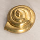 Medium Brass Circular Shell Wall Decor