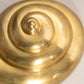 Medium Brass Circular Shell Wall Decor
