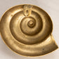 Medium Brass Circular Shell Wall Decor