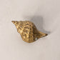 Medium Brass Conch Shell Figurine