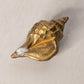 Medium Brass Conch Shell Figurine