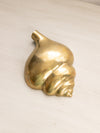 Medium Brass Conch Shell Wall Decor