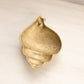 Medium Brass Conch Shell Wall Decor