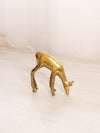 Medium Brass Deer with Head Down Figurine