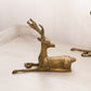 Medium Brass Laying Stag Buck Deer Figurine with Fancy Designs