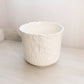 Medium Circular White Ceramic Planter with Floral Iris Details