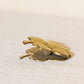 Medium Gold Tone Brass Dogwood Flower Clip