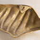 Medium Gold Tone Brass Textured Conch Shell Wall Decor