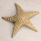 Medium Gold Tone Brass Textured Starfish Wall Decor