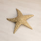 Medium Gold Tone Brass Textured Starfish Wall Decor