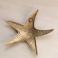 Medium Gold Tone Brass Textured Starfish Wall Decor