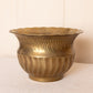 Medium Lightweight Brass Circular Planter