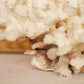 Medium Natural Off-White & Rust Color Specimen