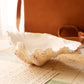 Medium Natural Shell White & Rust Trinket Dish