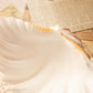 Medium Natural Shell White & Rust Trinket Dish