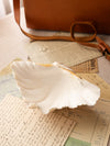 Medium Natural Shell White & Rust Trinket Dish
