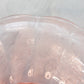 Vintage Paden City Peacock and Wild Rose Pink Flared Bowl