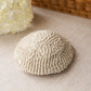 Natural White Beige Brain Coral Specimen
