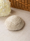 Natural White Beige Brain Coral Specimen