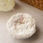 Natural White Beige Brain Coral Specimen