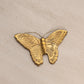 Small Brass Butterfly Wall Decor Accent (With Antenna)