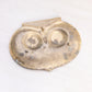 Small Brass Owl Head Trinket Dish