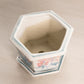 Small Hexagonal Ceramic Floral Planter with Underplate
