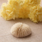 Small White Beige Natural Mushroom Coral Specimen