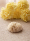 Small White Beige Natural Mushroom Coral Specimen