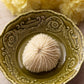 Small White Beige Natural Mushroom Coral Specimen