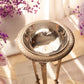 Tall Silver Tone Metal Tripod Dish with Lion(?) Face Details