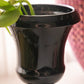 Vintage Black Glass Footed Urn Vase with Embossed Details