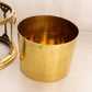 Vintage Circular Brass Hinged Lidded Caddy with Removable Insert