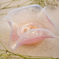 Vintage Fostoria Square Pink Opalescent Glass Seascape Dish