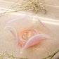 Vintage Fostoria Square Pink Opalescent Glass Seascape Dish