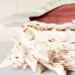 Vintage Large Ceramic Conch Shell Textured Planter