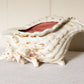 Vintage Large Ceramic Conch Shell Textured Planter