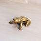 Vintage Small Brass Hinge Lid Frog Figurine