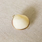 Vintage Small Shell Hinge Lid Trinket Box with Gold Metal Details