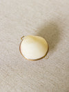 Vintage Small Shell Hinge Lid Trinket Box with Gold Metal Details