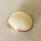 Vintage Small Shell Hinge Lid Trinket Box with Gold Metal Details